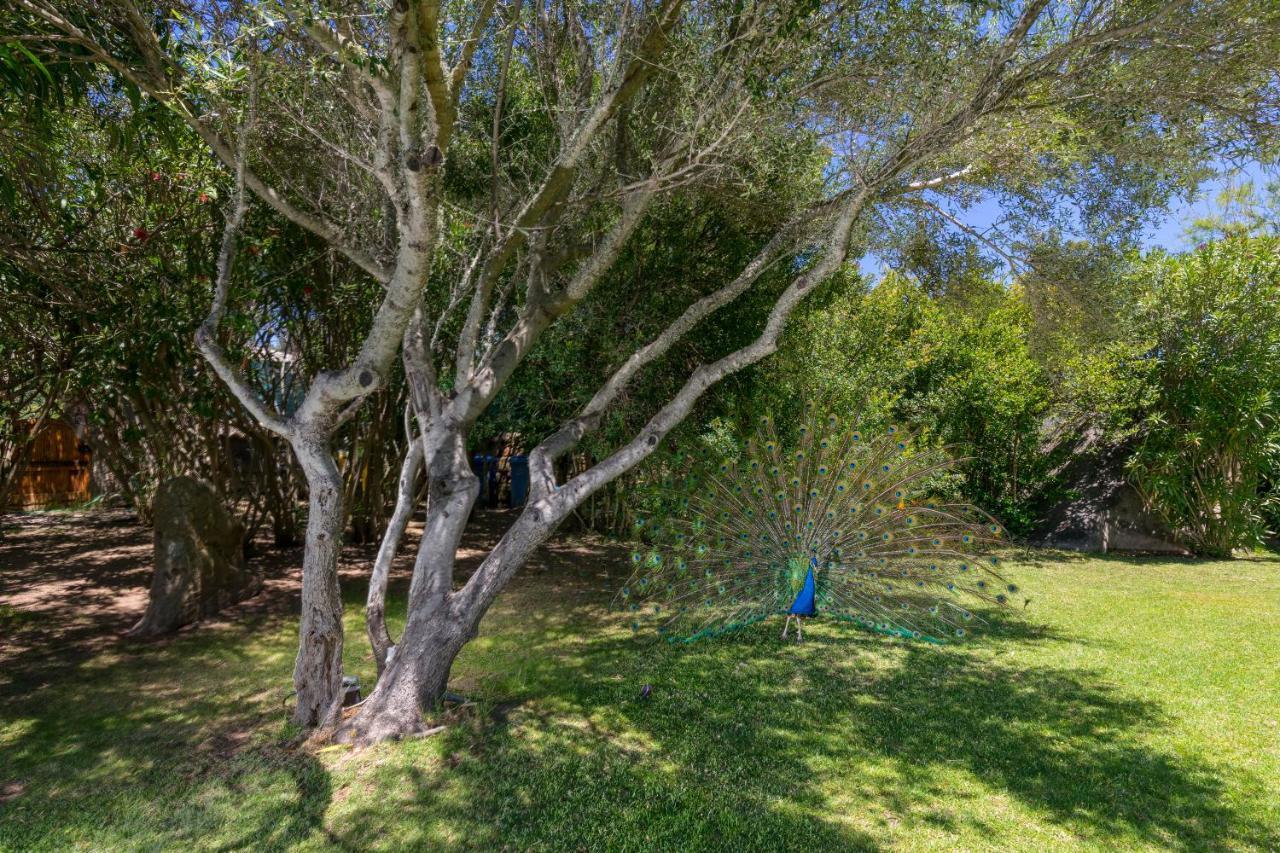 Rosa Holiday home Porto Rotondo